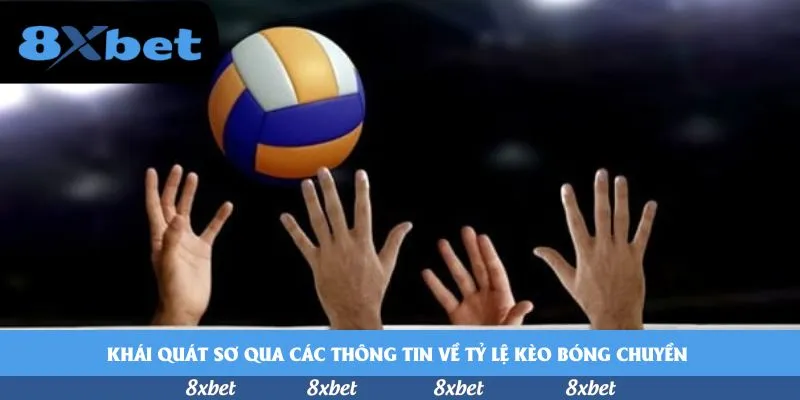 Khái quát sơ qua các thông tin về tỷ lệ kèo bóng chuyền