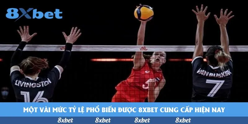 Một vài mức tỷ lệ phổ biến được 8xbet cung cấp hiện nay